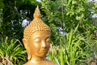 Close-up of buddha statue against plants