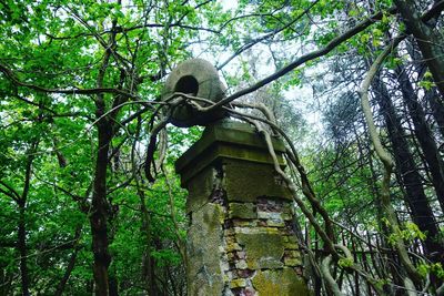 Low angle view of statue in forest