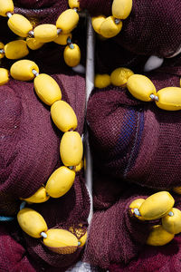 High angle view of multi colored fruits