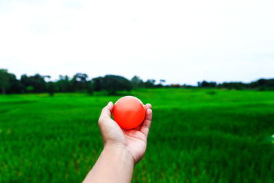 Cropped image of person holding fruit on field against sky