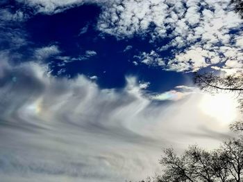 Low angle view of trees against sky