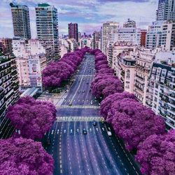 High angle view of street amidst buildings in city