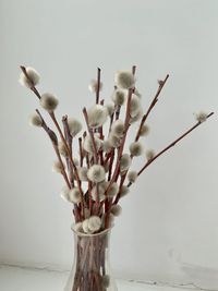 Close-up of white flower vase on table against wall