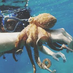 Close-up of person holding octopus in sea