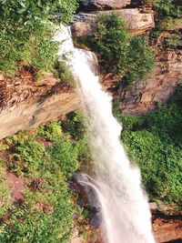 Scenic view of waterfall in forest