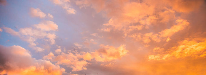 Low angle view of dramatic sky during sunset