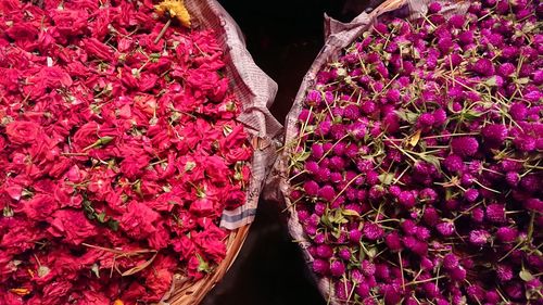 Close-up of flowers for sale