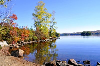 Scenic view of lake by trees against clear blue sky