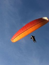 Low angle view of birds flying in sky