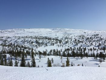 Snow covered landscape against clear blue sky