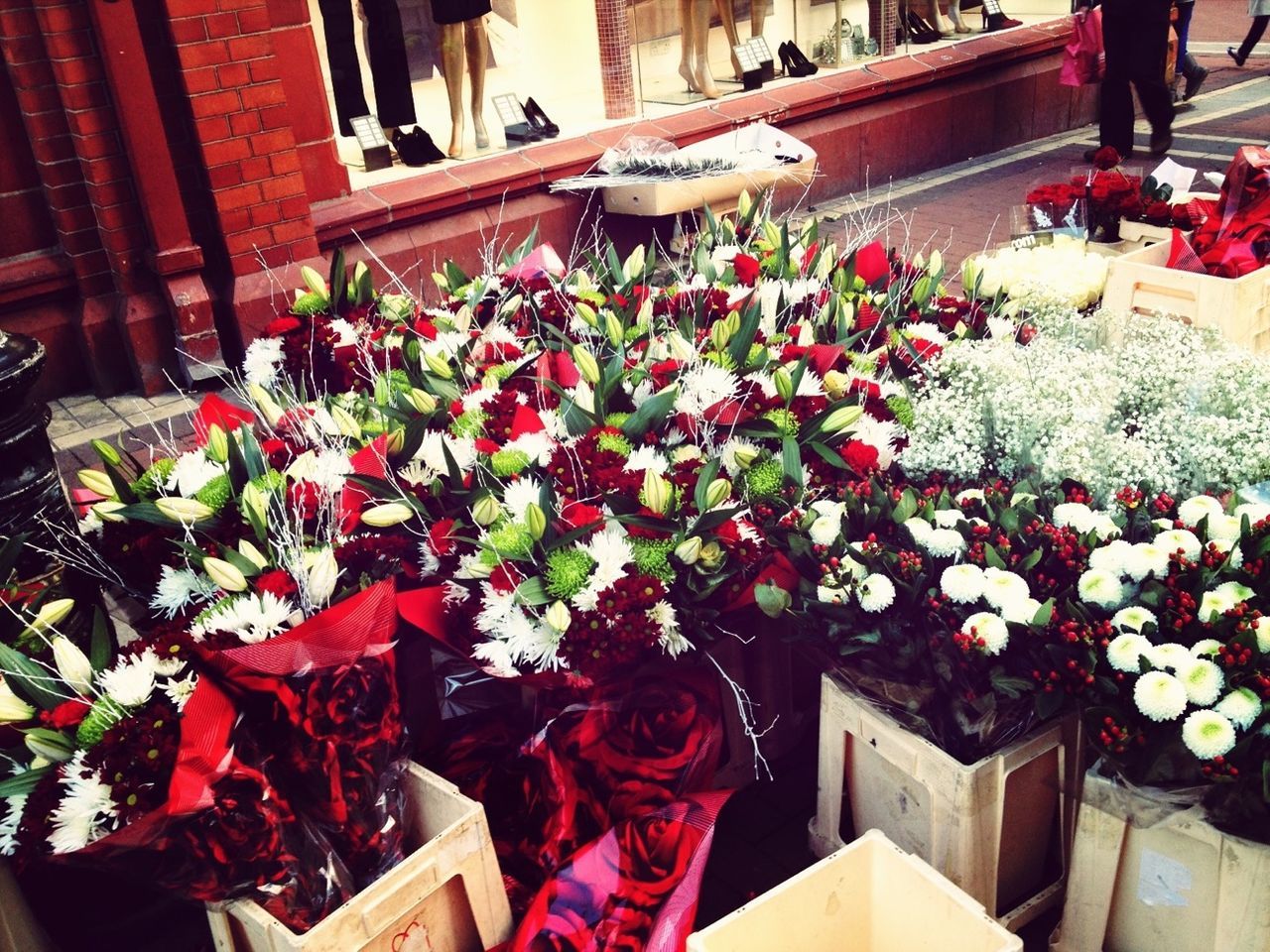 flower, men, freshness, variation, retail, abundance, for sale, market stall, market, person, high angle view, choice, potted plant, lifestyles, bouquet, shopping, building exterior, street