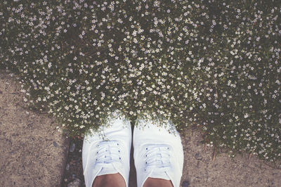 Low section of woman standing by plants