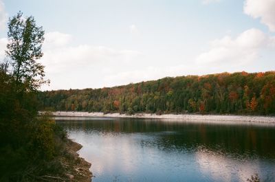 Scenic view of lake in forest against sky