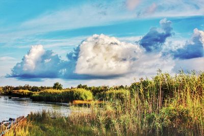 Scenic view of landscape against blue sky