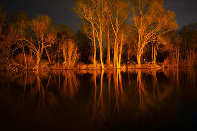Reflection of trees in lake against sky at night