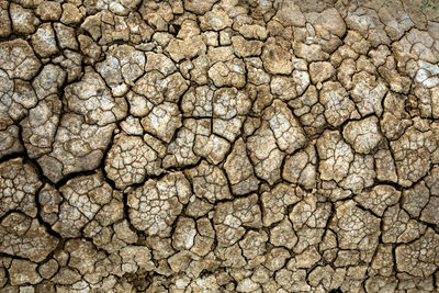 Full frame shot of cracked field