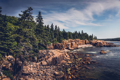 Scenic view of rocks by trees against sky with atlantic ocean