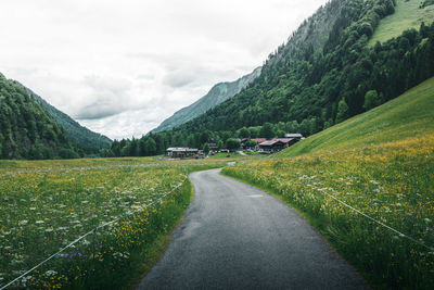 Road amidst green landscape and mountains against sky