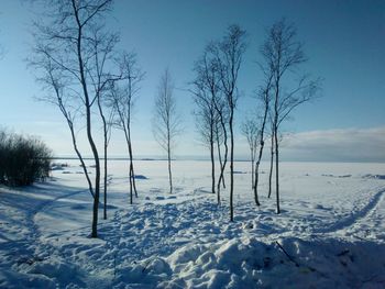 Bare trees on snow covered field against sky