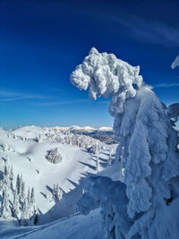 Julian alps in winter