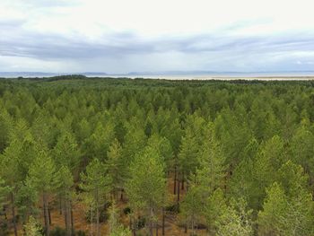Scenic view of landscape against cloudy sky