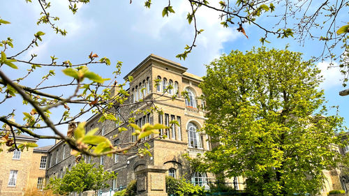 Low angle view of building