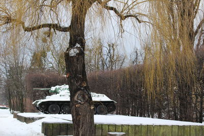 Trees on snow covered tree during winter