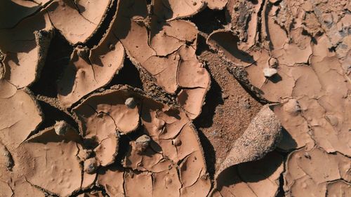 Full frame shot of dry leaf on sand