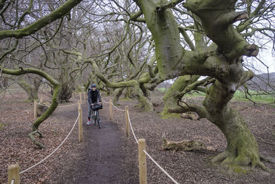 Rear view of man walking on road amidst trees