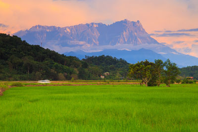 Scenic view of field and mountains against sky