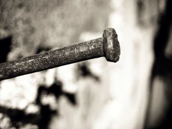 Close-up of rusty metal