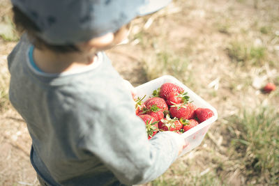 High angle view of hand holding fruit on field