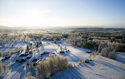 Scenic view of pine trees on snow covered field against clear sky