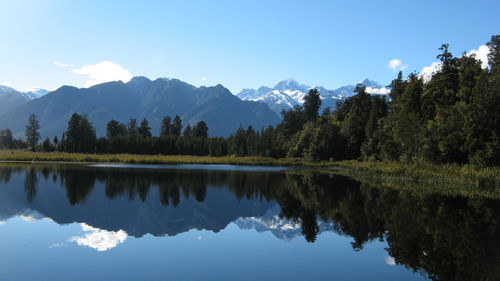 Reflection of trees in lake