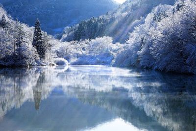 Scenic view of lake in forest during winter