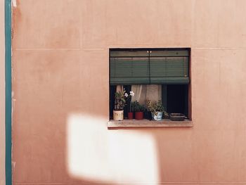 POTTED PLANT ON WINDOW SILL AGAINST BUILDING