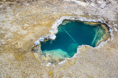 High angle view of rock in sea