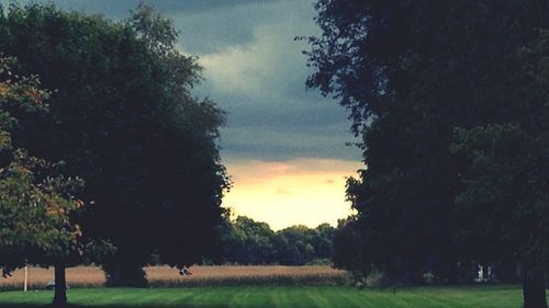 Scenic view of grassy field against cloudy sky