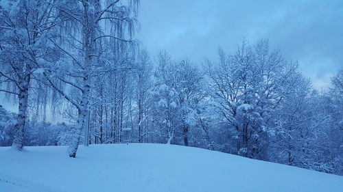 Snow covered land and trees against sky during winter