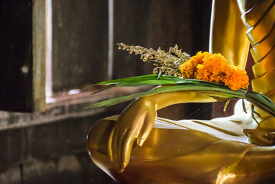 Close-up of yellow flower against blurred background