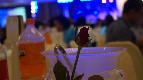 Close-up of drink on table