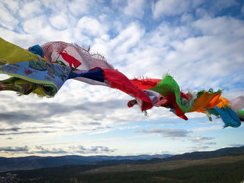 Low angle view of a bird flying over mountain