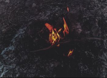 flame