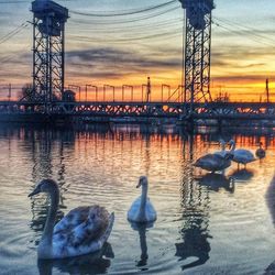 View of harbor at sunset
