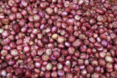Fresh onion, vegetable market in kolkata, india
