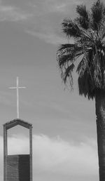 Low angle view of palm tree against sky