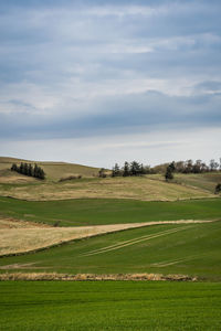 Danish hilly agricultura landscape