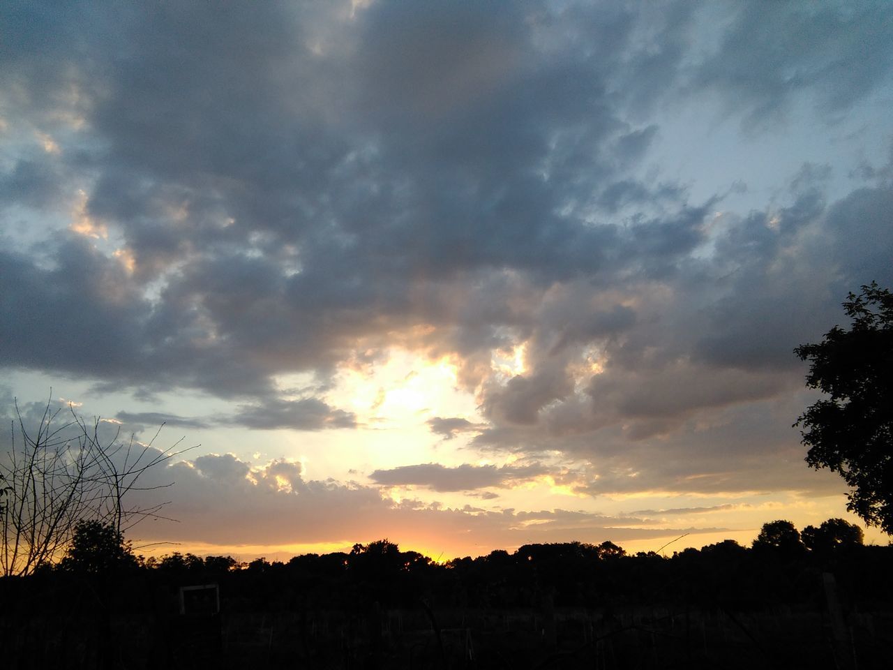 sky, sunset, silhouette, cloud - sky, nature, tree, dramatic sky, cloudscape, no people, beauty in nature, dark, scenics, outdoors