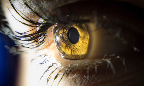 Close-up of hazel eyes