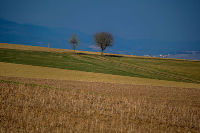 Scenic view of field against sky